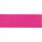 26)fuchsia  thumbnail