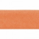 11)9683 Abricot thumbnail