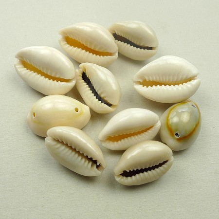 Perler Cowrie skjell