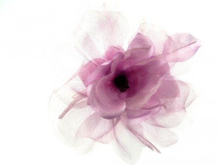 Silkeblomster 18